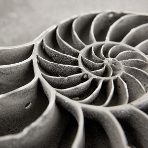 Close up of the inner chambers of the larger glass nautilus shell...