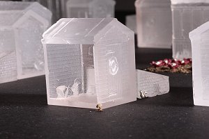 A cheeky squirrel runs past the coldframe...