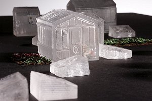 Cabbages slowly expand their leaves, catching the sun...