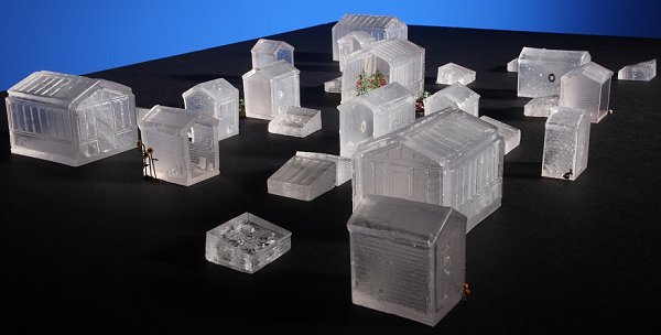 Looking through the buildings and plants of the allotment...