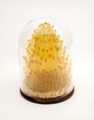 Capturing the moment of the last harvest of honey under glass and in glass...