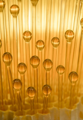 Flameworked droplets of amber glass simulate the honey spinning from the comb when it is collected...