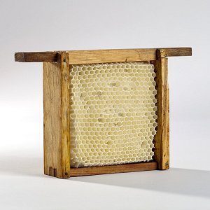 Natural coloured glass honeycomb made from fused powder, set into an original bee hive frame...