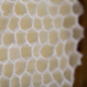 A detail shows the particles of glass powder that make up this fragile yet strong structure...