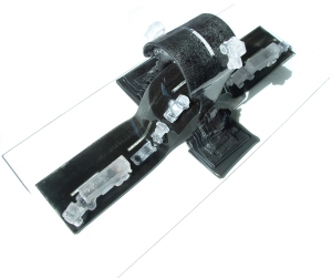 Traffic moves in multiple directions, although some at a faster pace than others...